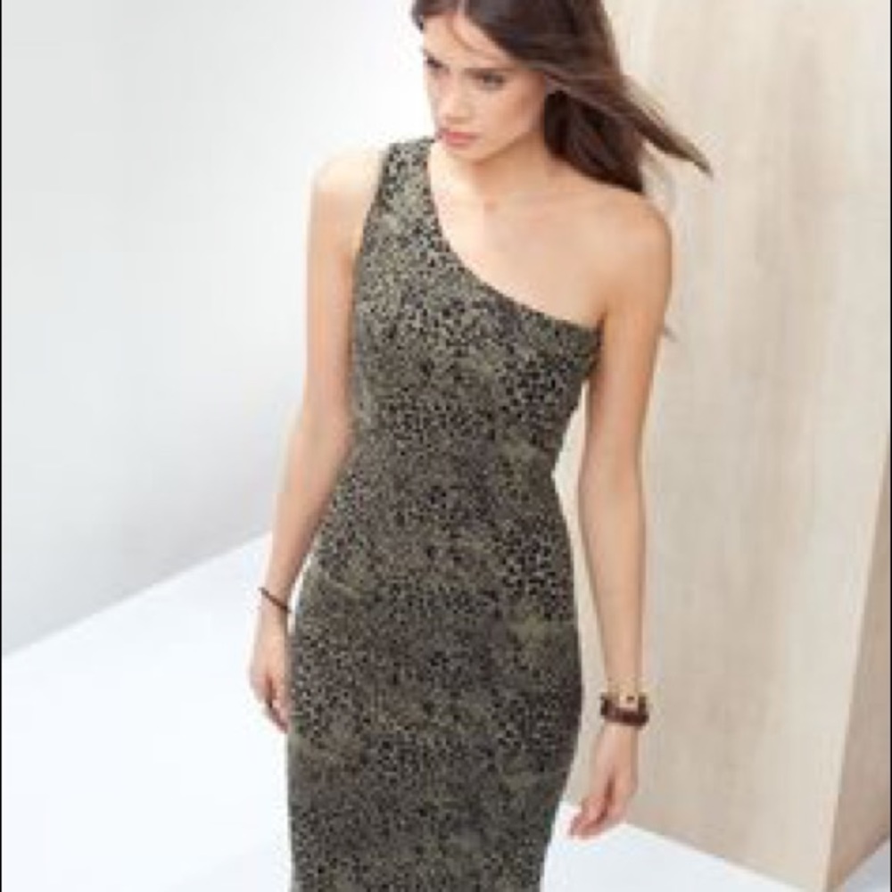 Gorgeous BAUKJEN animal print one shoulder dress